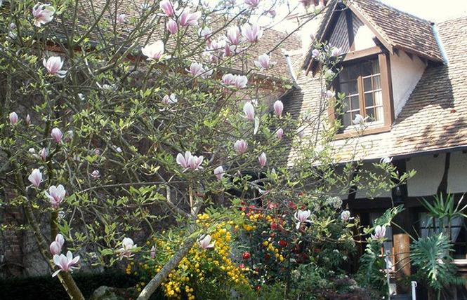 L'Auberge Du Faisan Dore Saint-Florent-le-Jeune Zewnętrze zdjęcie